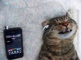 Primary Listening 21 to 25