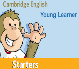 Cambridge Starters Test 13