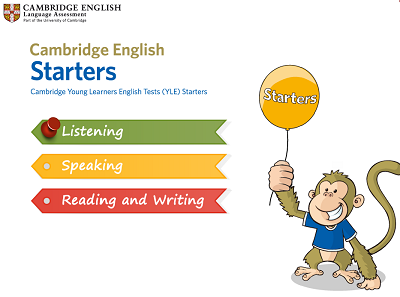 Cambridge Starters Test 15